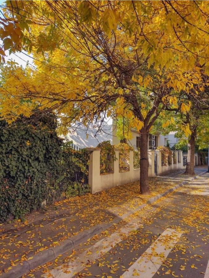 Charming Place Cotroceni Bucharest Exterior photo